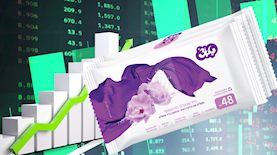 מגבוני טאצ', צילום: shutterstock