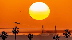 צילום: נתי שוחט, פלאש 90