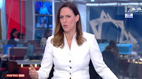 יונית לוי, צילום: צילום מסך חדשות 12