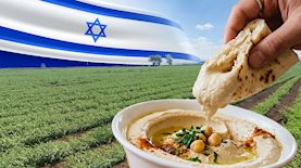 צילום: ויצו ניר העמק, Shutterstock