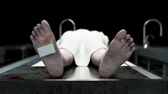 גופה. אילוסטרציה, צילום: Shutterstock