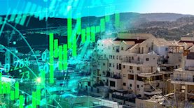 מניות בית שמש, צילום: Yossi Aloni/Flash90