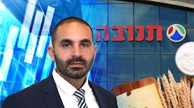 אמיר נחום, צילום: shutterstock, ווליו בייס