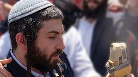 צבי סוכות, צילום: זירת החדשות