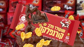 מוצרי שטראוס, צילום: פלאש 90/ משה שי