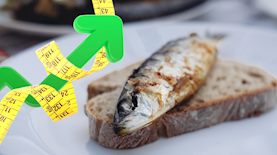 כריך עם סרדין, צילום: shutterstock