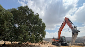 הקמת יישוב נטוף, צילום: דוברות מועצת בינימין