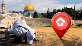 רכישת קרקעות-אילוסטרציה, צילום: shutterstock, פלאש 90/ נתי שוחט