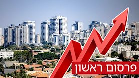נדלן באשקלון, צילום: פלאש 90/ יונתן זינדל