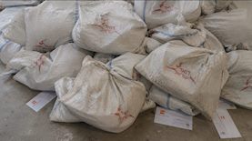 דואר ישראל וחברת החשמל, צילום: חברת החשמל