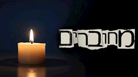 מחוברים, צילום: shutterstock,ויקיפדיה