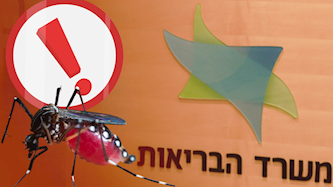 משרד הבריאות מזהיר יתוש קדחת הנילוס, צילום: Shutterstock