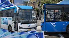 ברת האוטובוסים תנופה ודן, צילום: אבשלום ששוני, חיים גולדברג /פלאש 90