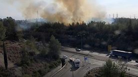 שריפה יער בן שמן, צילום: דוברות כבאות והצלה לישראל